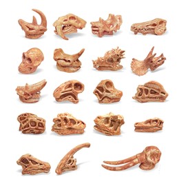 WETEPUXI 19 PCS Mini Mammal Skull Set Realistic Dinosaur Bones Prehistoric Animals Head Skeleton Playsets Ancient Daeodon Mastodon Collection Figures Models