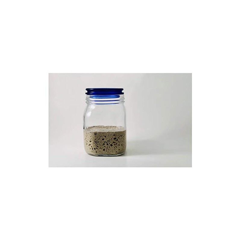 Dark Rye Sourdough Starter Culture Bread Yeast Dehydrated