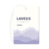 Harukado 3636 Carall Lavesis Plate Pack of 3 Lavender Savon