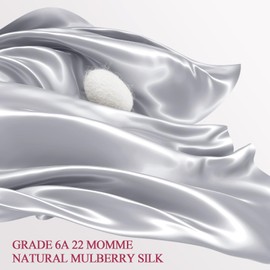 WLOSJ 100% Silk Pillow Cases King Size Mulberry Silk Pillowcase for Hair and Skin 22 Momme Highest Grade 6A Silk with Hidden Zipper 20 x 36 Inches 1PC, Grey