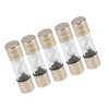 Partuto 5 Pcs 80A Universal AGU Fuse - Metal Glass