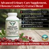 AlchePharma Advanced Urinary Care Supplement, Flowens Cranberry Extract Blend (120