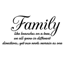 VWAQ Family Like Branches on a Tree Vinyl Wall Decals Quotes Home Sayings Decor (Matte Black, 20" H X 40" W)