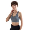 True North Sports Bra, lightgrey, XL