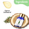 Sage Apothecary Cypress Essential Oil - 10 ML