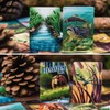 Ecosystem Forêt – Board Game – French Version