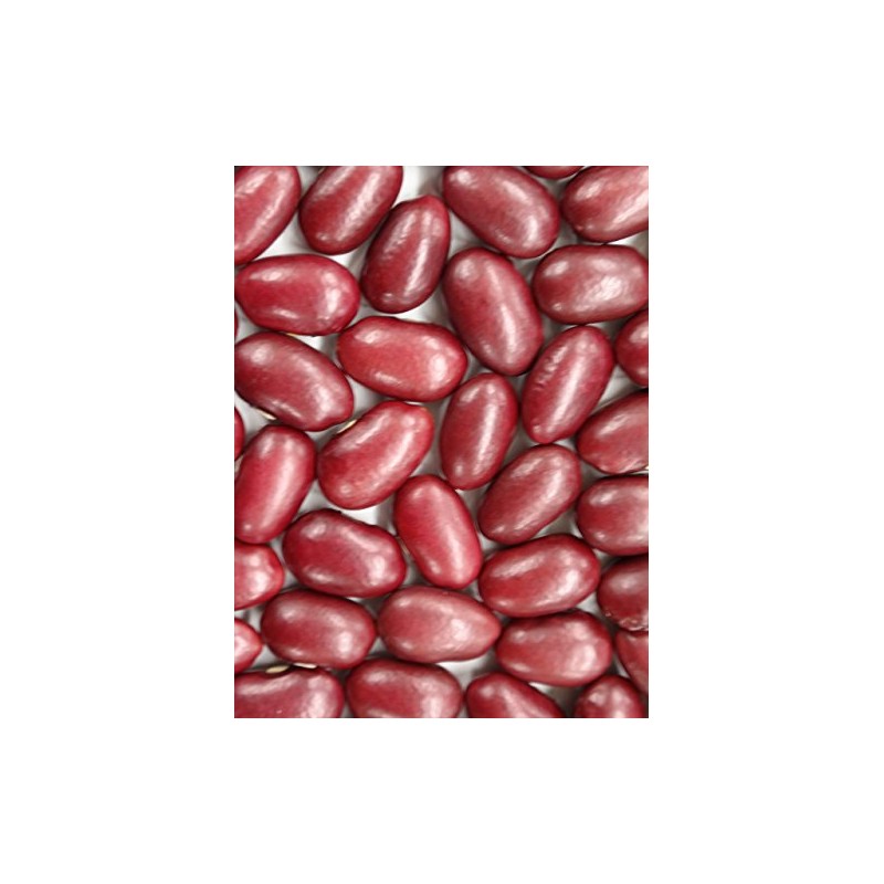 Hokuren Hokkaido Taisho Kintoki 17.6 oz (500 g)