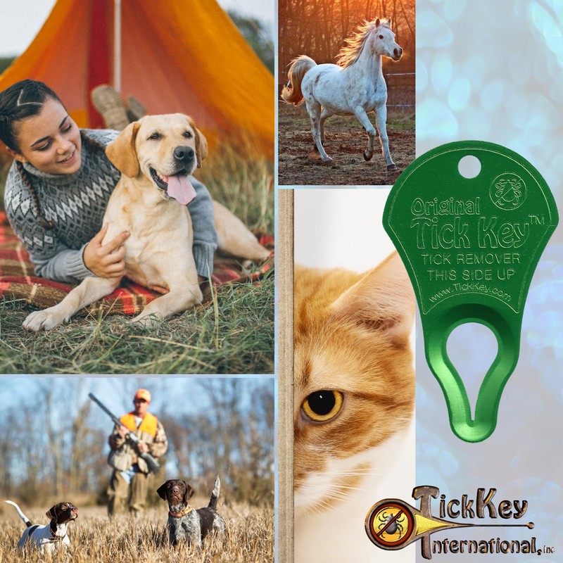 The Original Tick Key - Tick Detaching Device - Portable,