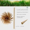 Pack of 20 Sugar Cane Straws - Plastic Free, Eco-Friendly,