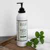 Archipelago Morning Mint Body Lotion ,18 Fl Oz