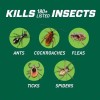 ORTHO Bug B-gon Insect Killer for Indoor Plus Perimeter1, 1