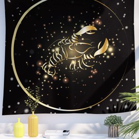 Berkin Arts Decor Tapestry for Wall Hanging Premium Polyester Fabric Backdrop Space Art Zodiac Sign Zodiac Libra Sign 59.1 x 78.7 Inch