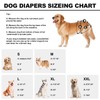 Reusable Dog Diapers Female Washable, Premium Doggie Diapers for Female