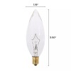 KOR (6 Pack) Clear Chandelier Bulbs 25W Watt European Base