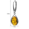 Amber Sterling Silver Oval Leverback Earrings