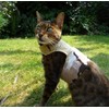 Mynwood Cat Jacket/Harness Desert Storm Combat Adult Cat
