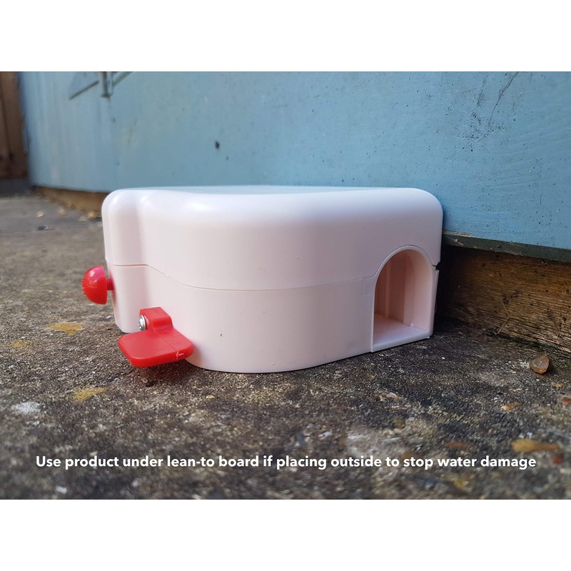 The Big Cheese Sealed and Safe Mouse Trap - Mouse