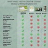 Matcha Teabags MatchaDNA Certified Organic Matcha Green Tea by MATCHA