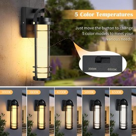RIDALUX Outdoor Wall Lantern, Dimmable Wall Lights Fixture with 5 Color Temperatures, 15" Modern LED Sconce Waterproof Porch Lighting with Clear Glass for House Garage Doorway Patio, 1Pack