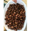 Tree 10 Organic fresh Loquat tree seeds from California bay