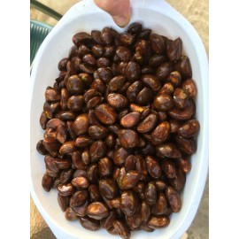 Tree 10 Organic fresh Loquat tree seeds from California bay area, pick fr 2024 season