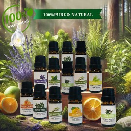 Essential Oil Set - Natural Oils for Aromatherapy, Diffusers, Candle & Perfume Making - Gift Set - 8 x 10ml (Lavender, Peppermint, Eucalyptus, Lemon & More)