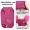 Cyponpy Dog Body After Surgery Medical Bodysuit for Dogs Castration