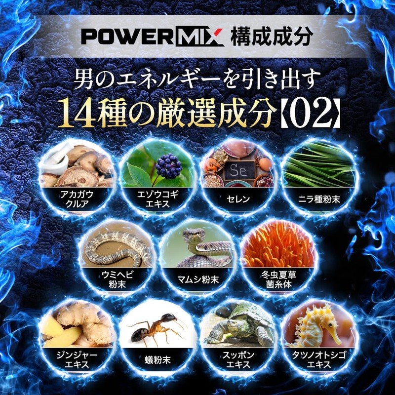 HALEO TEST(テスト) メンズパワーブースター テストフェン マカ ムクナ 冬虫夏草 エゾウコギ セレン 合計15種成分配合