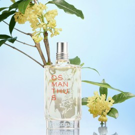 L'OCCITANE Osmanthus Eau de Toilette 2.50 fl. oz