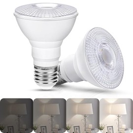 Flaspar PAR20 LED Flood Light Bulb, 8W PAR20 LED Bulbs 75W Equivalent, 800 Lumens, 5000K Daylight White, E26 Medium Base, 60° Beam Reflector Flood Lights for Indoor Outdoor, 2 Pack
