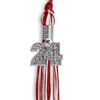 Endea Graduation Mixed Double Color Tassel with Silver Bling Charm