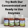 Kleen Free Naturally Preformed Enzyme Cleaner, Enzyme Solution, Multi-Purpose Cleaner,