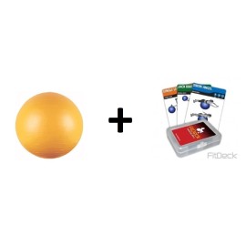 Theraquatics Physio Balance YOGA Fitness Gym G BALL FITDECK Drill Exercise card 45-55-65-75cm - 55cm Ball w/Fitdeck