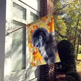 Caroline's Treasures BB9960CHF Newfoundland Puppy Fall Flag Canvas House Size, Large, Multicolor