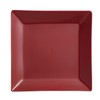 Miyamoto Sangyo 45129511222558 Clean Coat Square Plate, Medium, Vermilion, 5.4