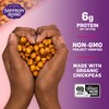 Saffron Road Roasted Bombay Spice Crunchy Chickpeas | High-Protein, Vegan,