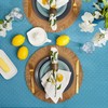 DII Outdoor Tabletop Collection - Mantel con Cremallera, Redondo, 60