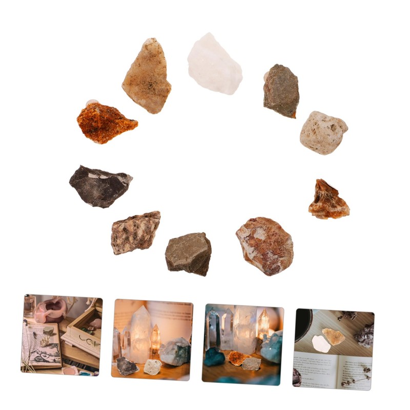 BUGUUYO 10pcs Mineral Rock Specimen Display for Teaching Irregular Stones