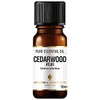 Amphora Aromatics Cedarwood Atlas Essential Oil 10mls