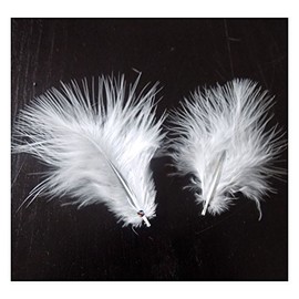 Marabou Feathers in White (Pk 30) by GC