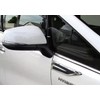 FUKUARE Alphard Vellfire 30 Series Fender Garnish Set of 2