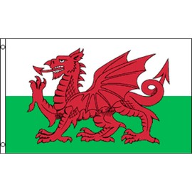 Wales Flag 2x3ft Poly