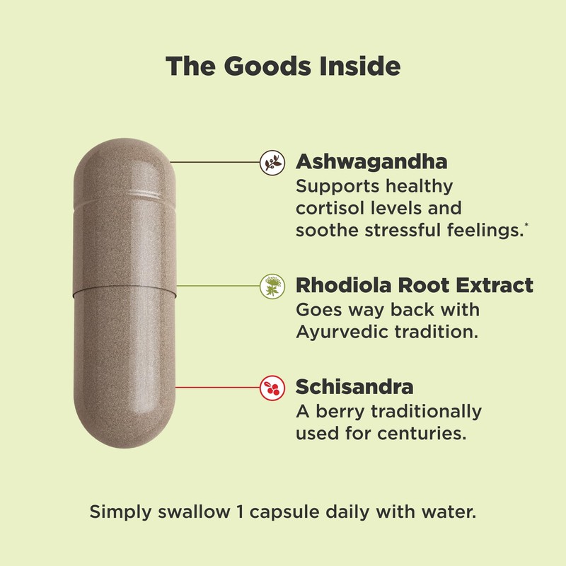 OLLY Chill Adaptogen, Ashwagandha, Mood Support Supplement with Rhodiola Root,