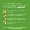 Henry's Hazelnut Stix: All-Natural & Fresh Squirrel and Hamster Treats,
