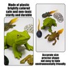 HDGSAFD 5 Pieces Frog Life Cycle Model with 1 Lotus