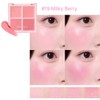 DASIQUE Blending Mood Cheek 10.4g [Milky Fruits Collection], Color:18 Milky