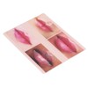 2pcs Lip Practice Skin 4 Lip Shapes Permanent Makeup Lip