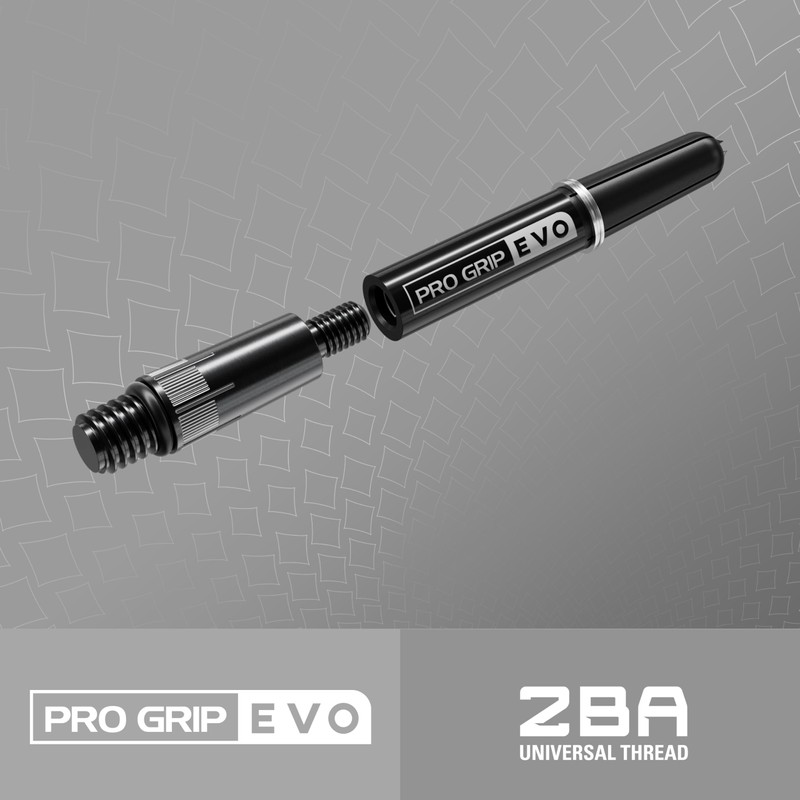 TARGET Darts Raymond van Barneveld Pro Grip EVO Chrono Titanium