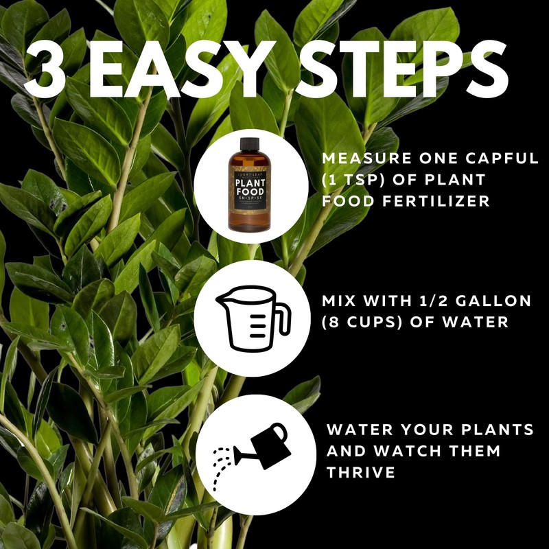 Lush Leaf | Plant Food (Indoor)