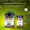 TAJ Kasoori Methi | Dried Fenugreek Leaves | Product of
